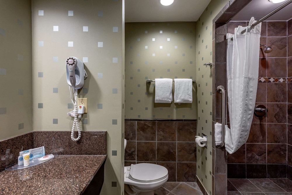 Comfort Suites Perrysburg - Toledo South 49/49