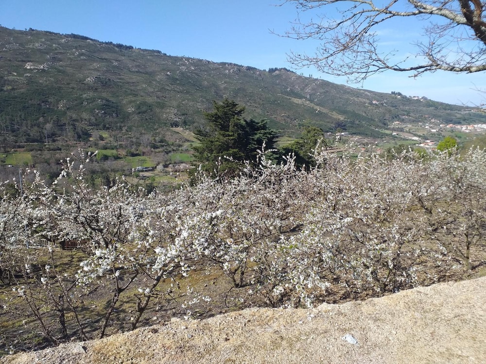Quinta Da Timpeira 50/64