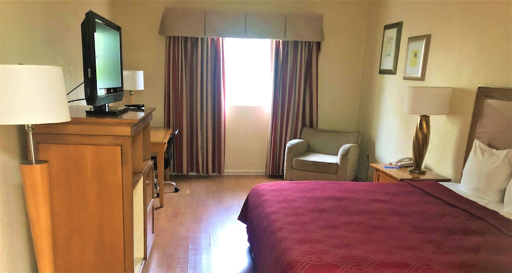 Rodeway Inn South Miami Coral Gables 23/39