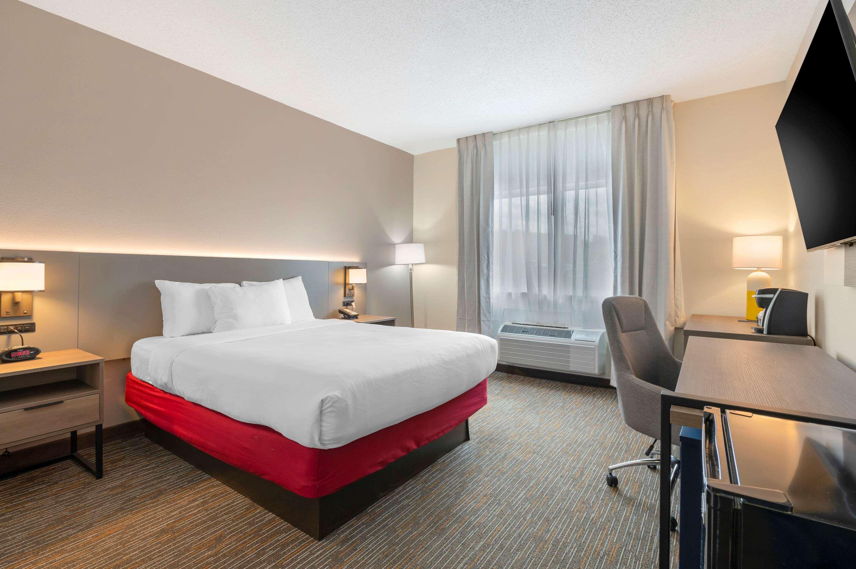 Room, Queen Bed
