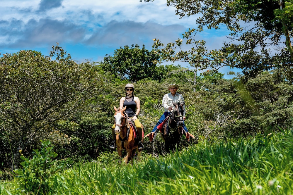 Rinconcito Lodge 32/49