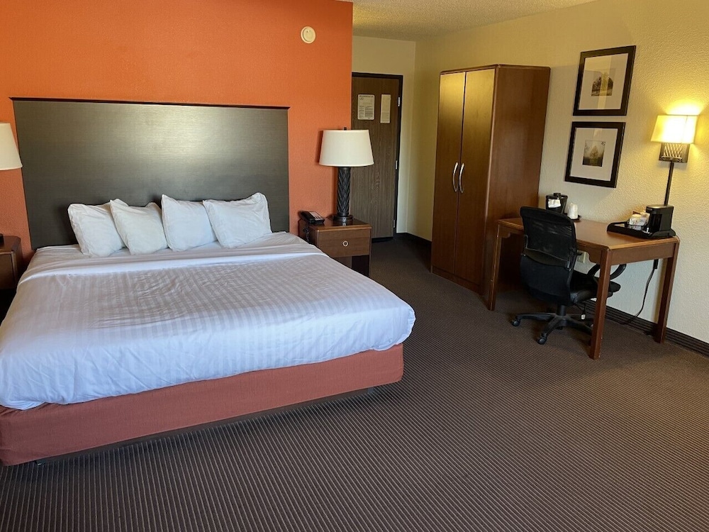 Studio, Suite, King Bed