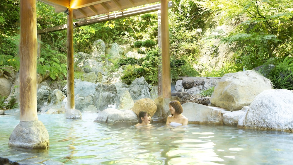 Ooedo Onsen Monogatari Premium Shirahama Saichoraku 31/69