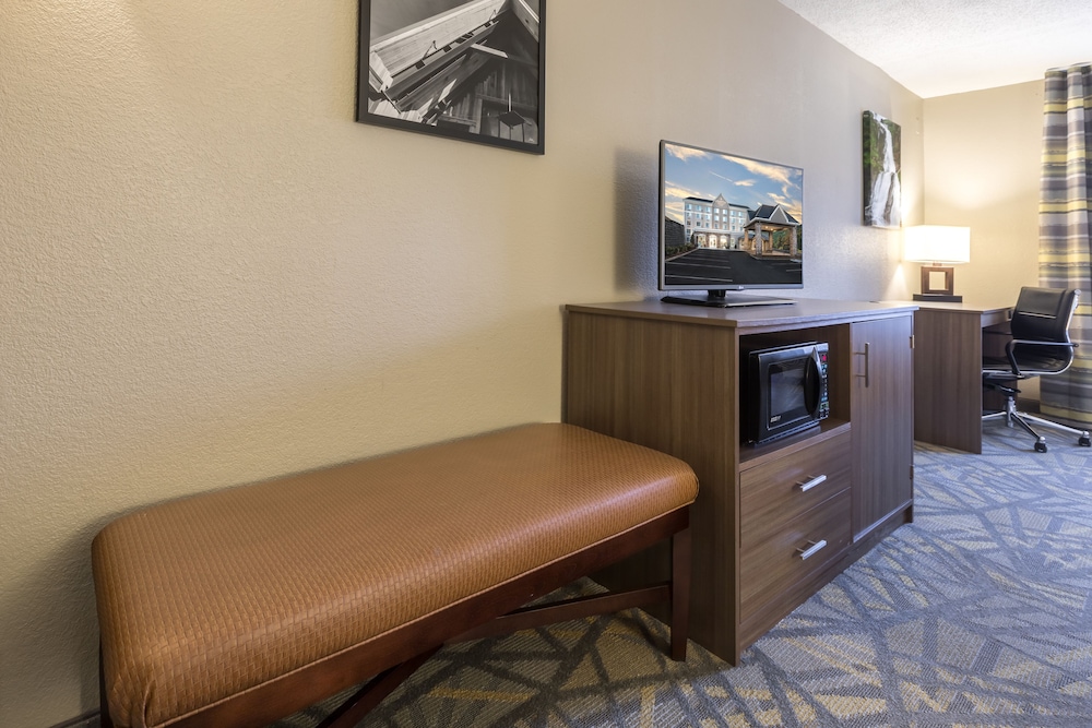 La Quinta Inn & Suites by Wyndham Asheville Downtown 34/34