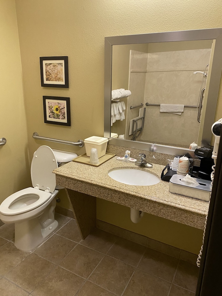 Comfort Inn & Suites Monahans I-20 13/40