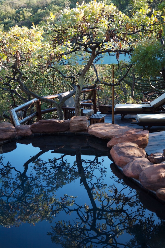 Makweti Safari Lodge 8/37