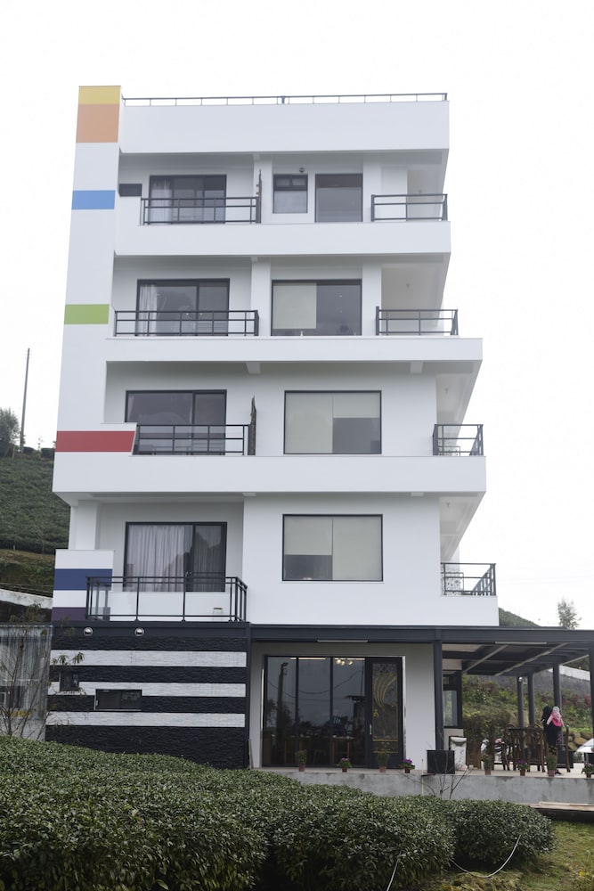 阿里山 雲明居 B&B 写真4