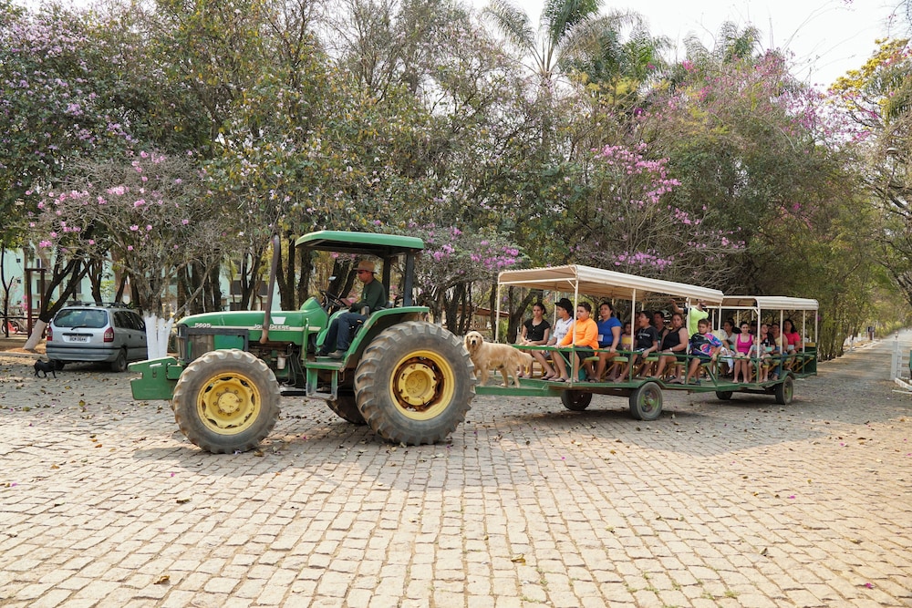 Hotel Fazenda Pocos De Caldas 63/76