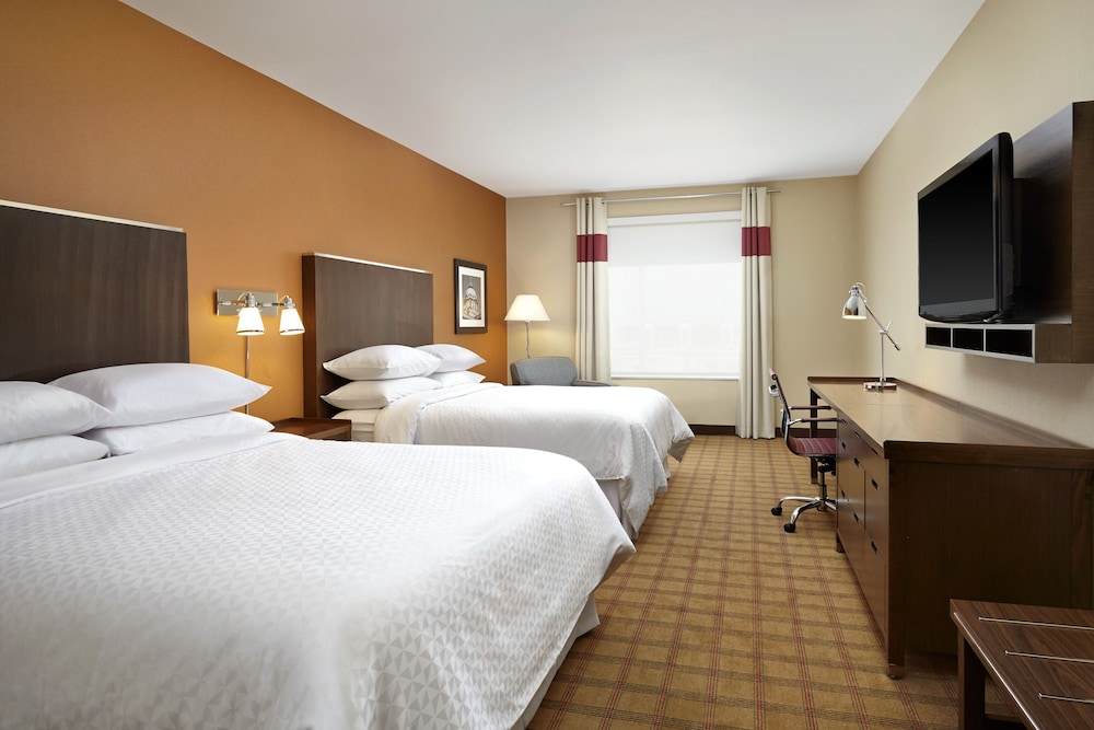 Four Points by Sheraton Edmonton International Airport 10/55