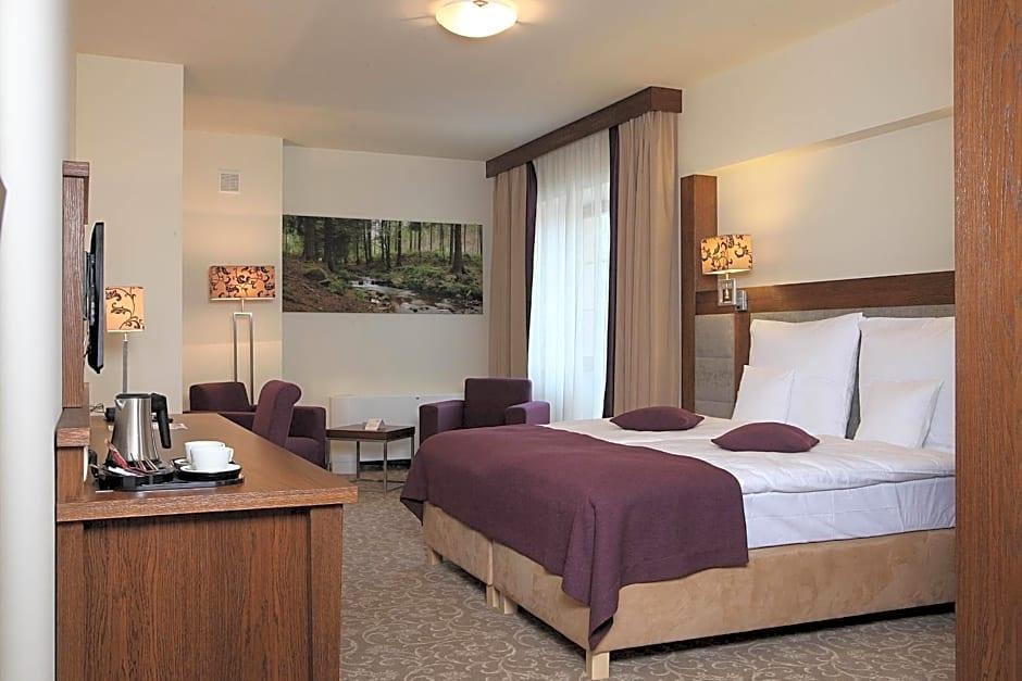 Hotel Mercure Krynica Zdroj Resort and Spa 13/50