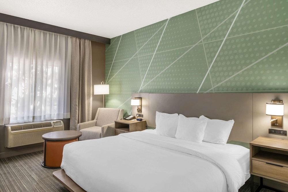 ROOM, KING BED, ACCESSIBLE
