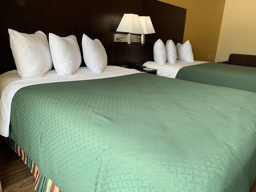 Days Inn And Suites By Wyndham Tampa Raymond James Stadium 16/51