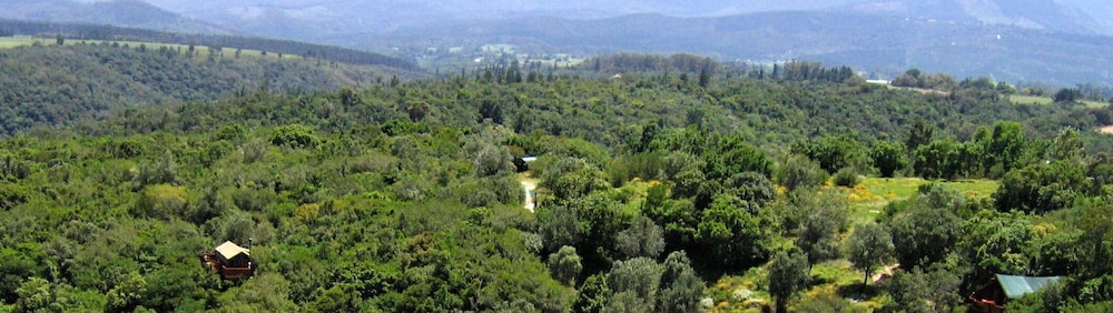 Teniqua Treetops 45/50