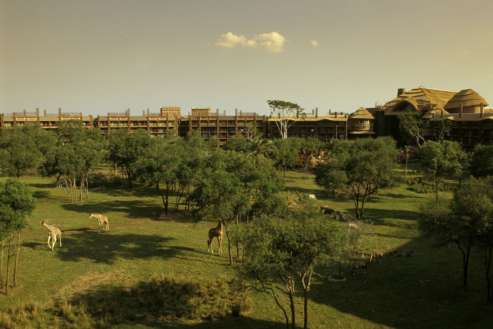 Disney Animal Kingdom Villas Jambo House 51/60