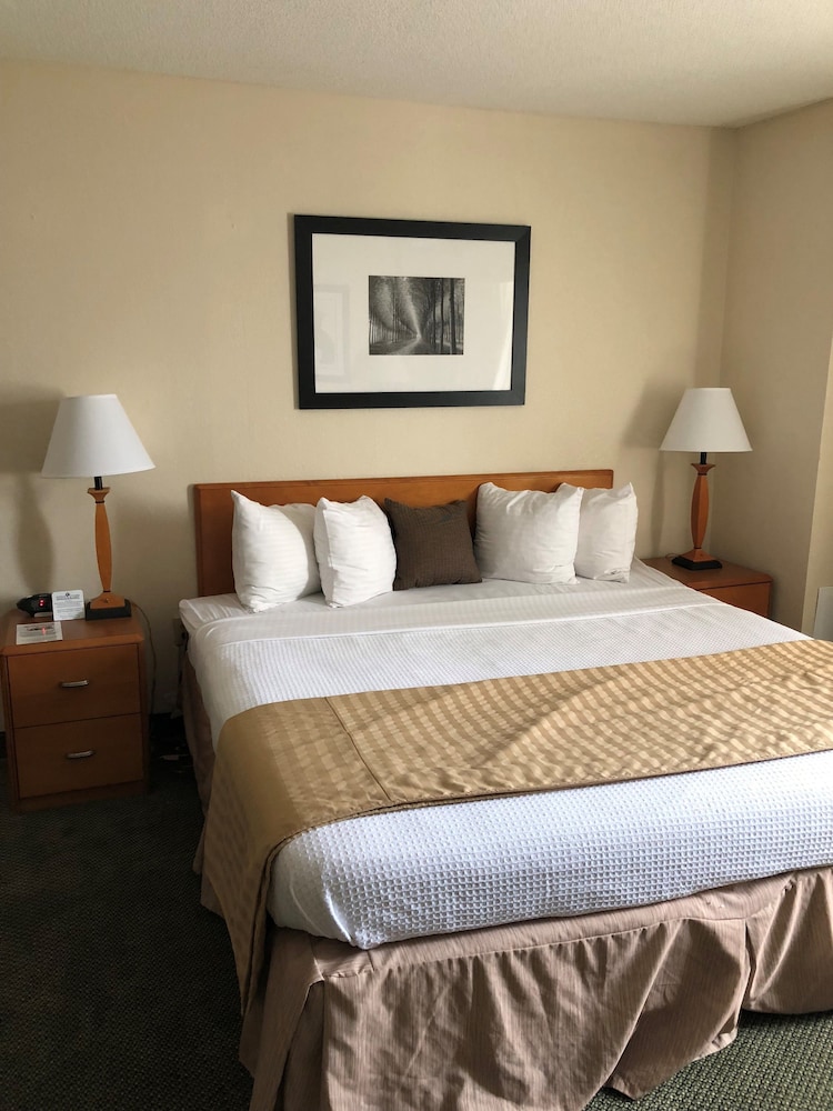 Capital Plaza Hotel 10/37