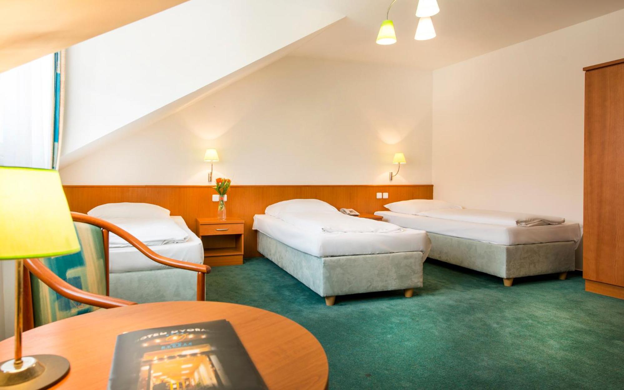 Hotel Dvorak 25/66