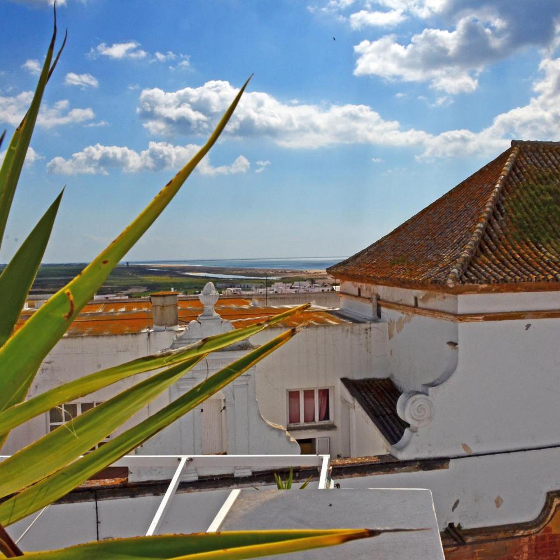 Hostal Campito 7/81