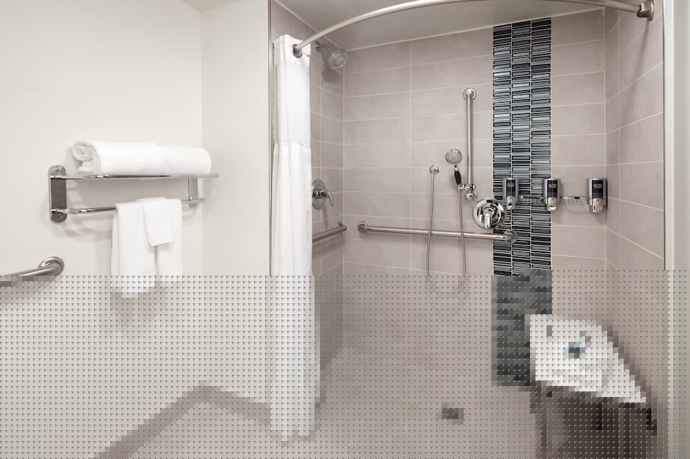 Four Points By Sheraton Hotel Suites San Francisco Airport 10/33