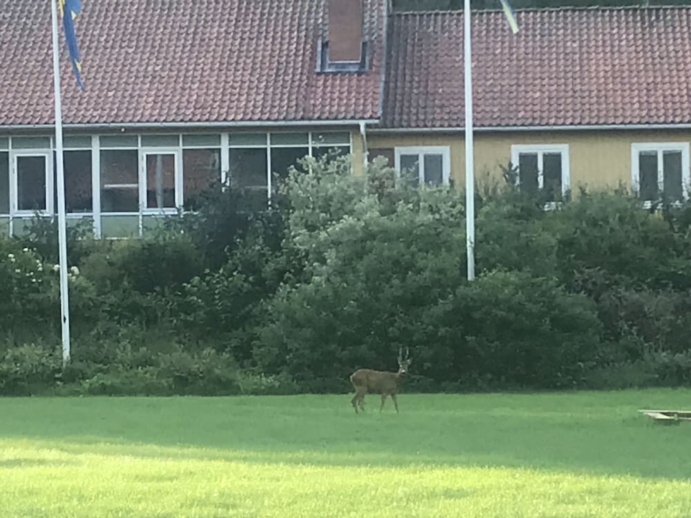 Klackbergsgården 41/50