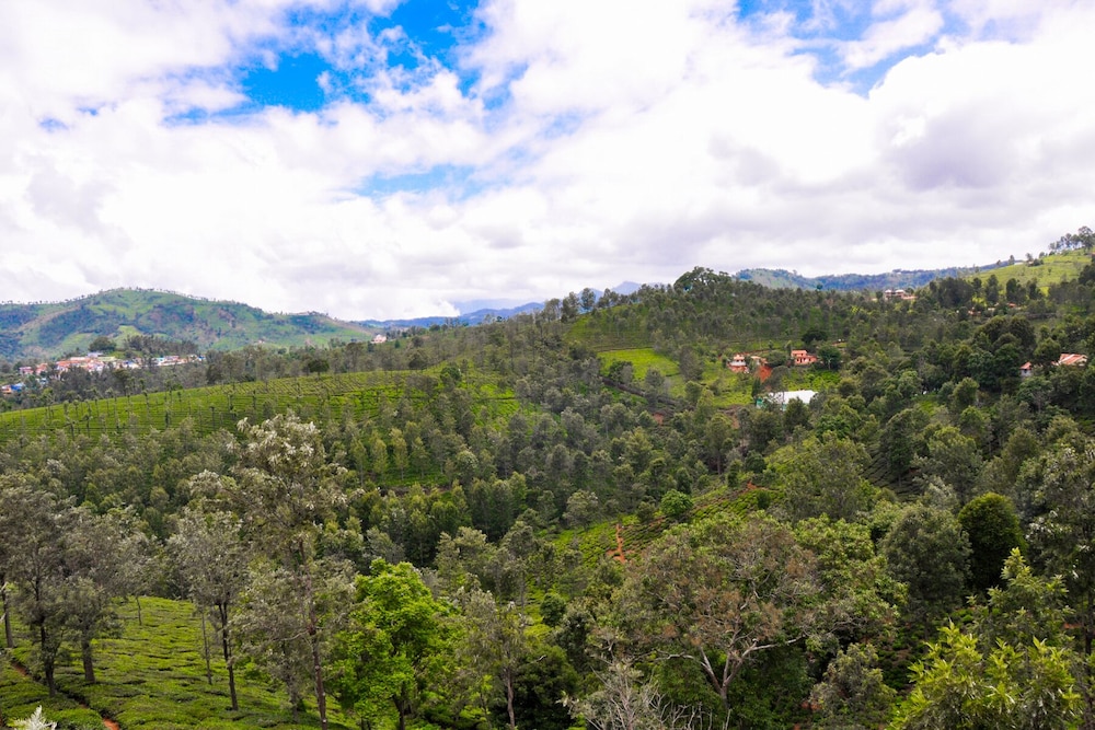 Sunvalley Homestay 24/32