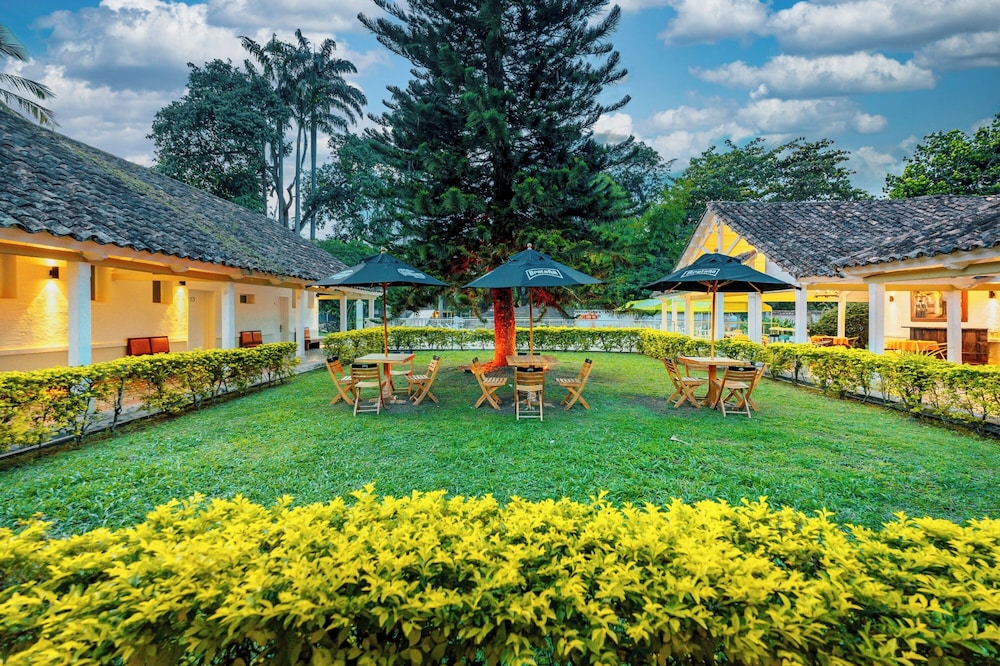 hotel las palmeras 37/50