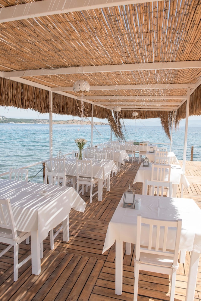 Palmiye Beach & Rest 34/64