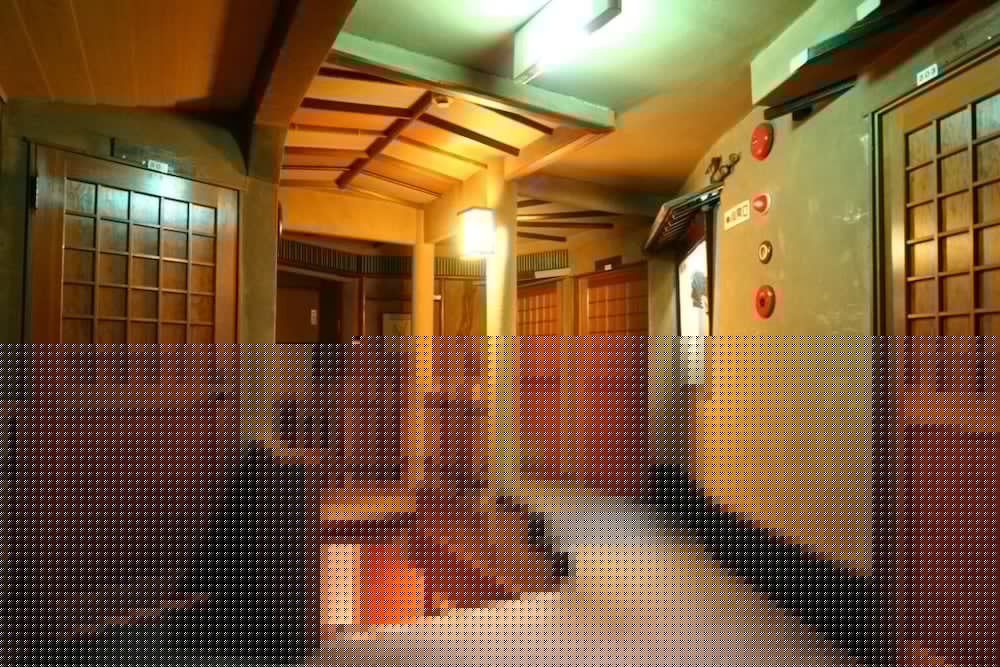 Senshinkan Matsuya 29/44