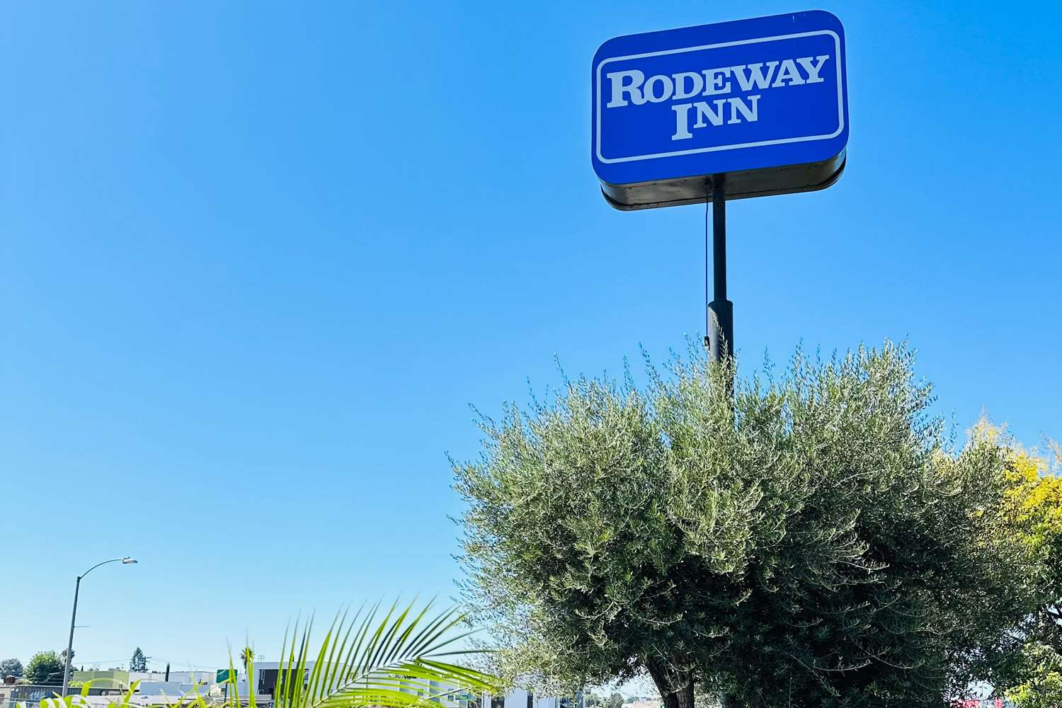 Rodeway Inn Lemon Grove San Diego East 1/16