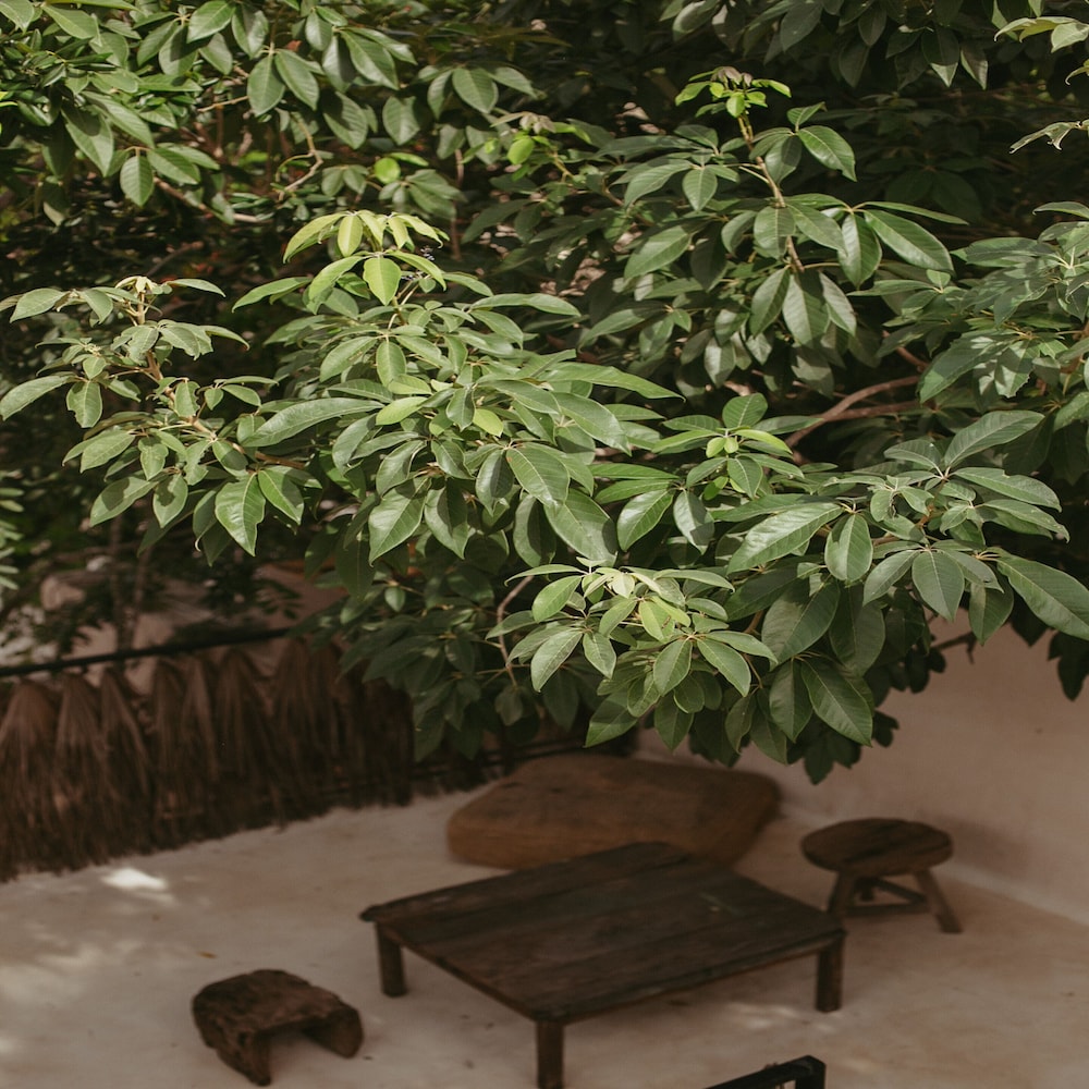 Era Hotel Tulum 70/76