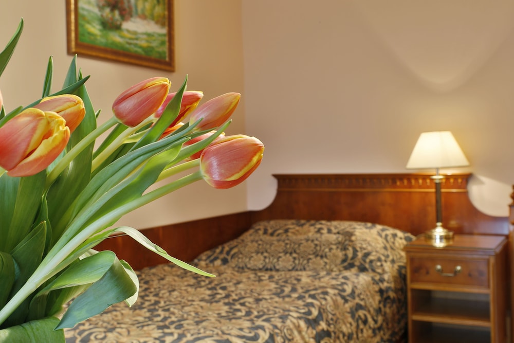 Hotel Kolonada 28/53