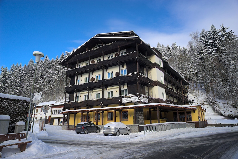 Natur- und Wanderhotel am Steinbachtal 2/33