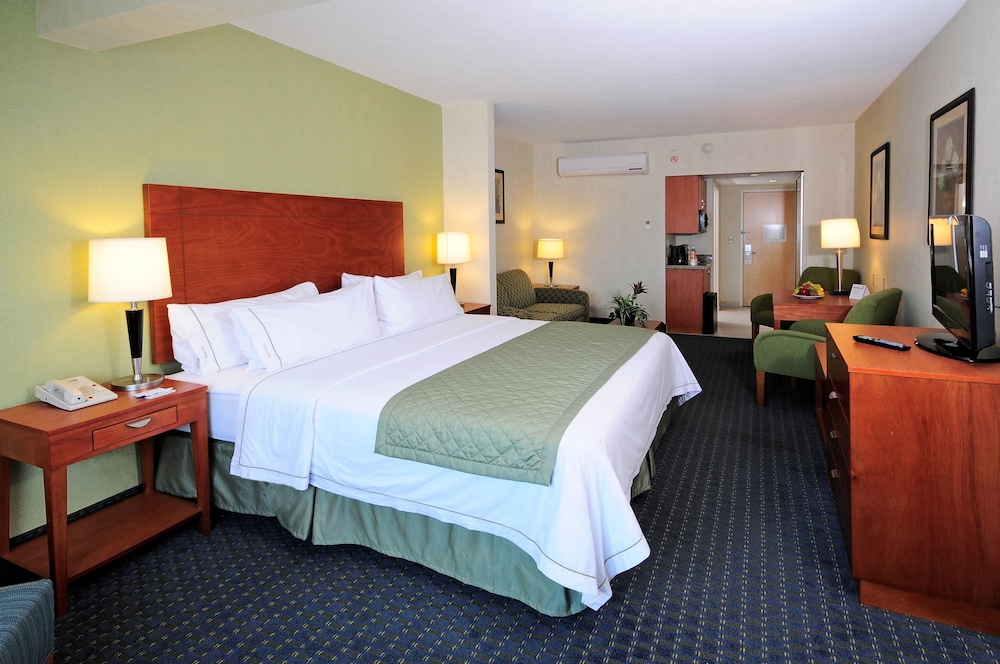 Holiday Inn Express Hotel and Suites Toluca Zona Aeropuerto 31/72