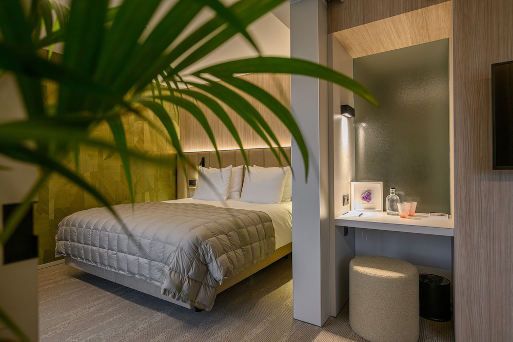 Junior Suite, Studio, Queen Bed