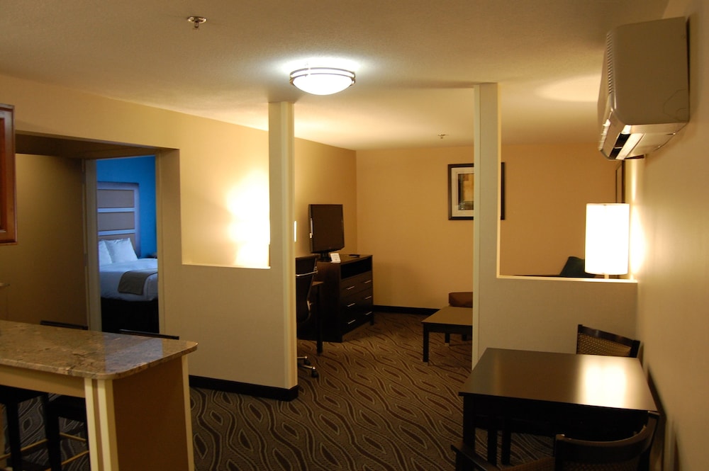 Holiday Inn Express Ludlow 37/50
