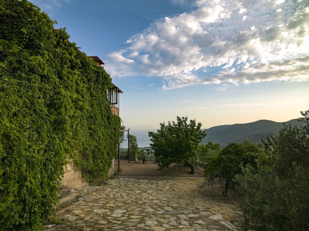 Villa Vino 25/35
