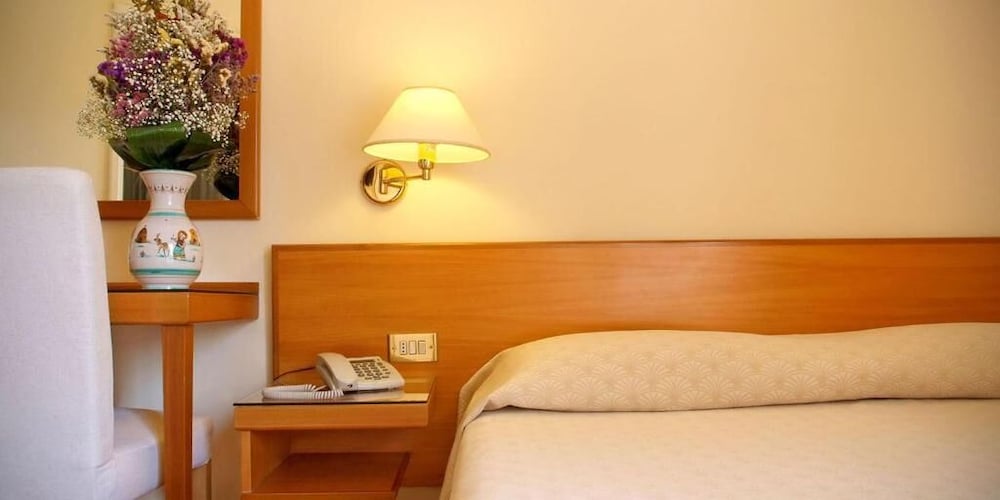 Plaza Hotel 13/55