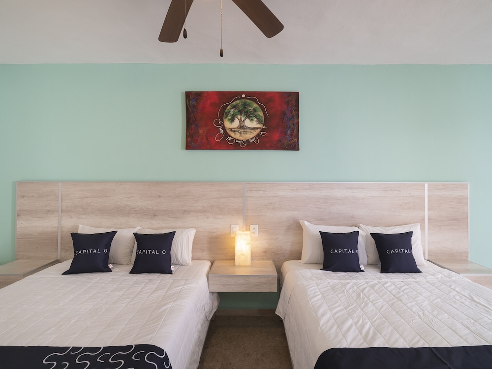 Hotel Punta Esmeralda 15/44