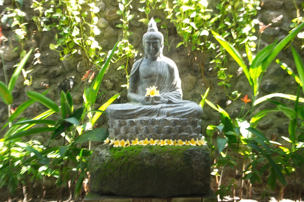 Puri Pangeran Hotel Yogyakarta 36/37
