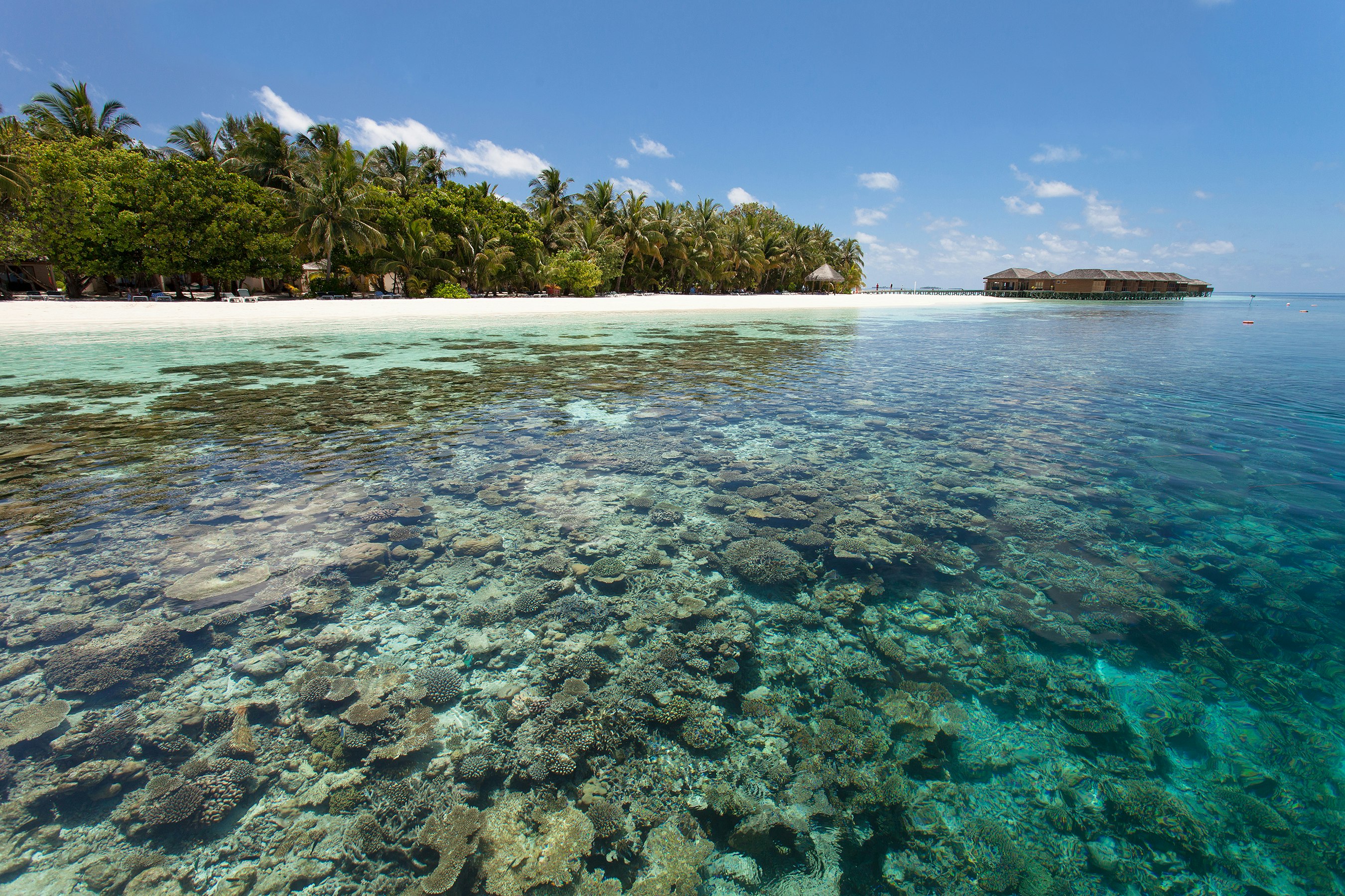 Vilamendhoo Island Resort & Spa 256/272