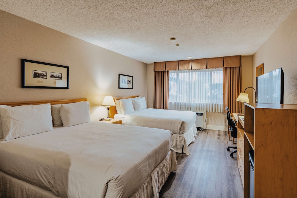 SureStay Plus by Best Western Coquitlam 12/50