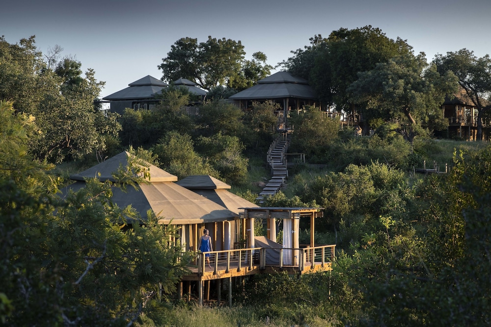 Simbavati Hilltop Lodge 2/50