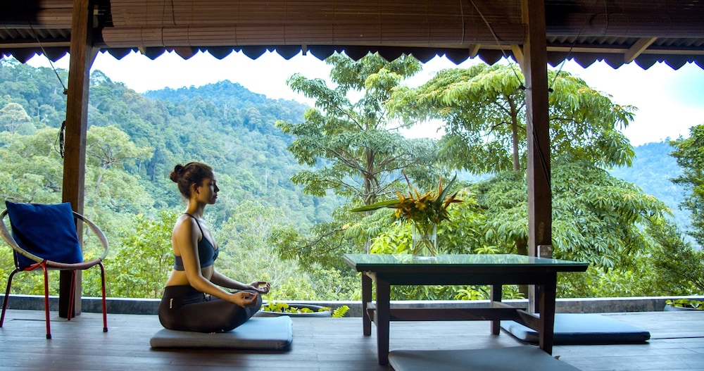The Dusun 25/50