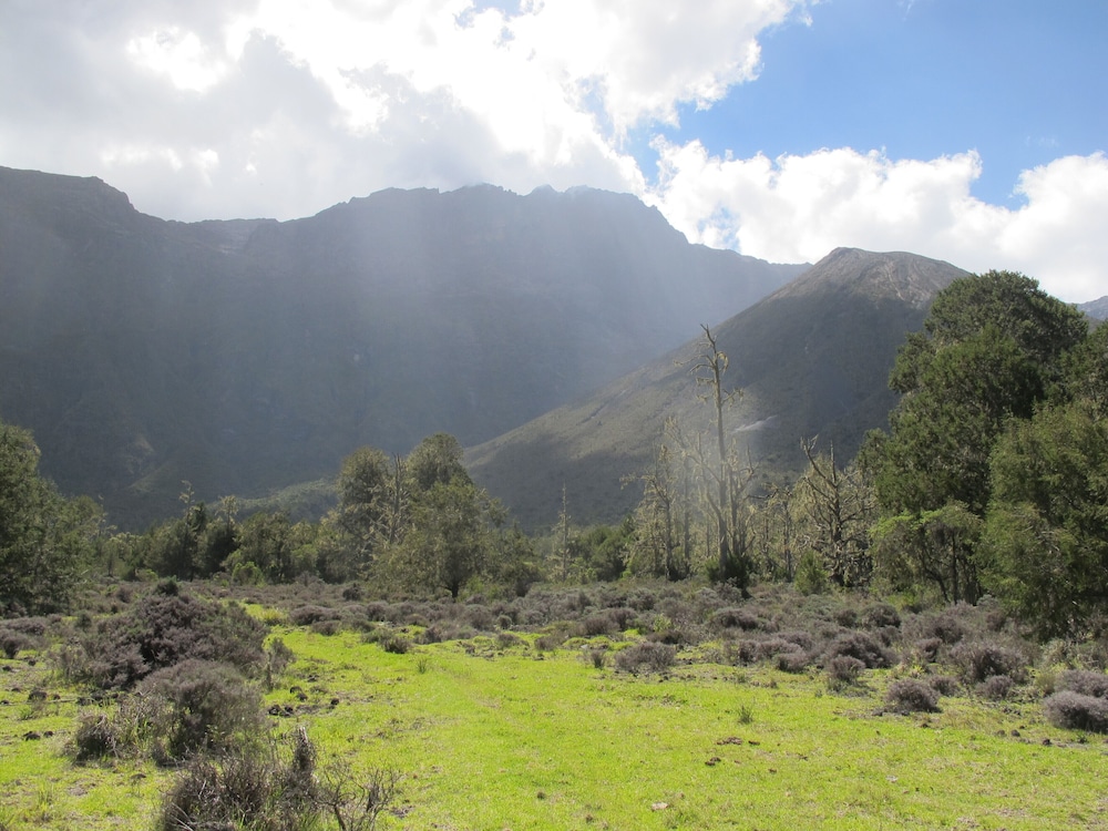 Ngare Sero Mountain Lodge 34/52
