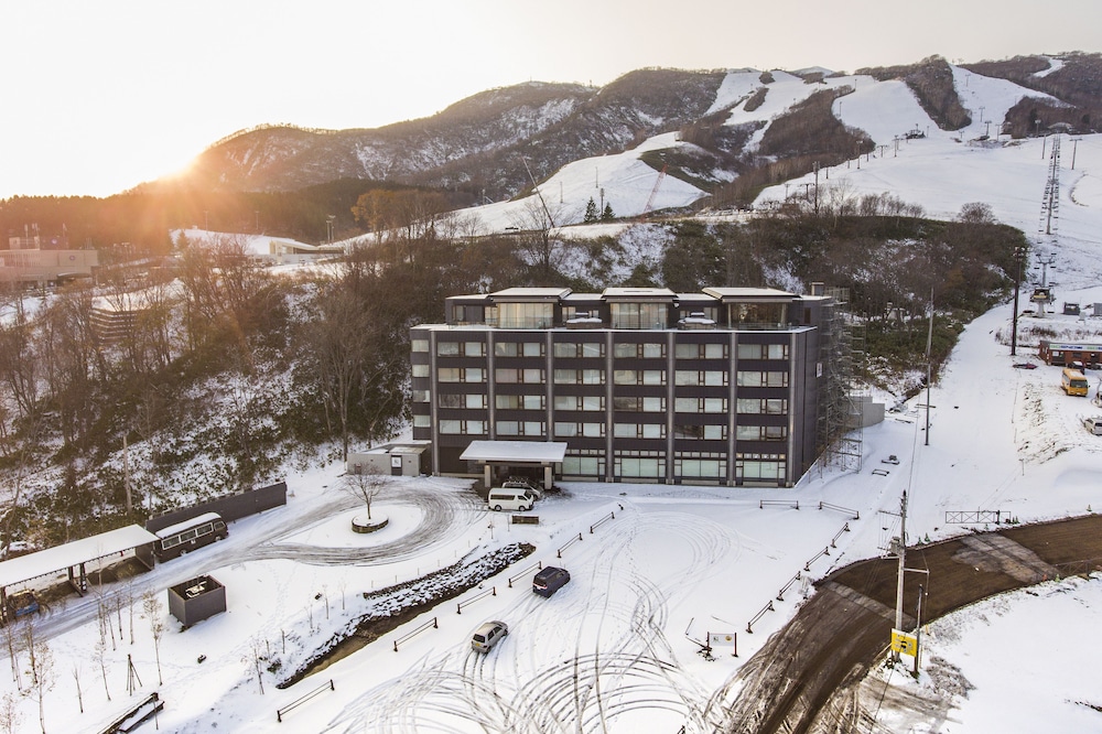 木ニセコ 写真2