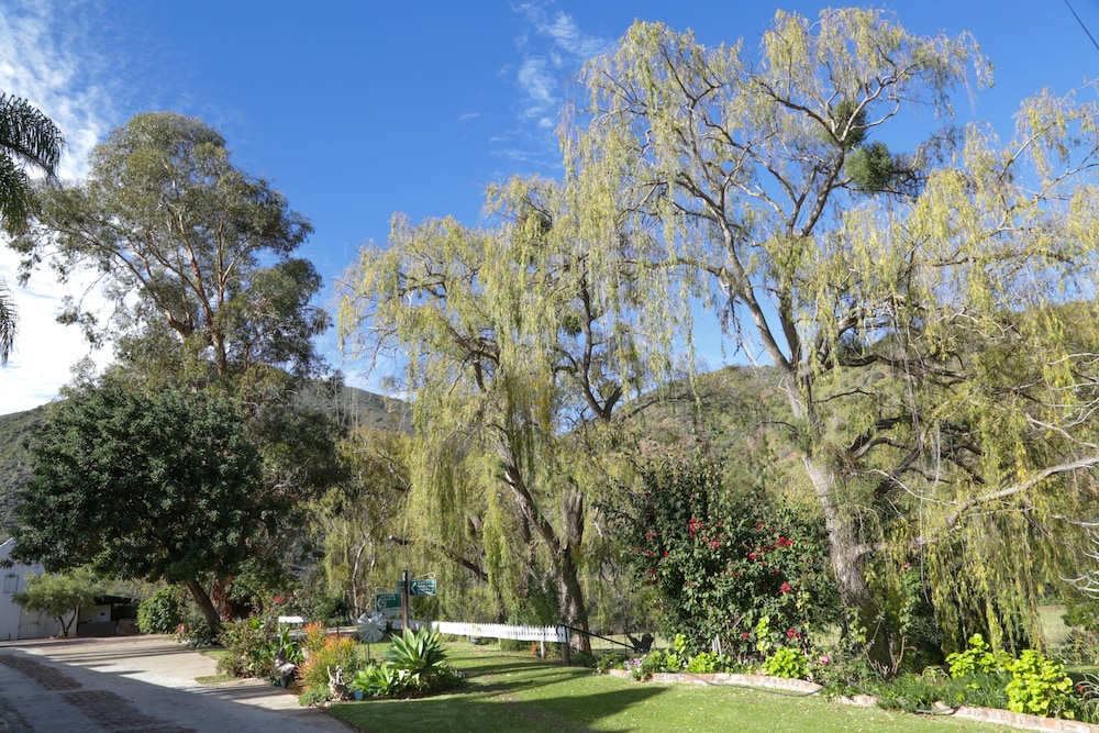 De Oude Meul Country Lodge 31/50