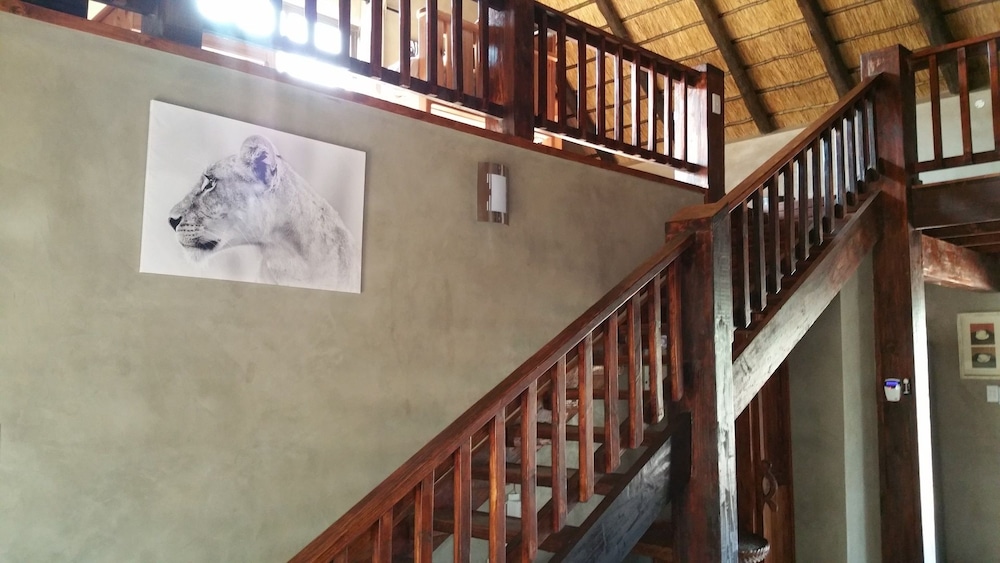 Marloth Kruger Bush Villa photo4
