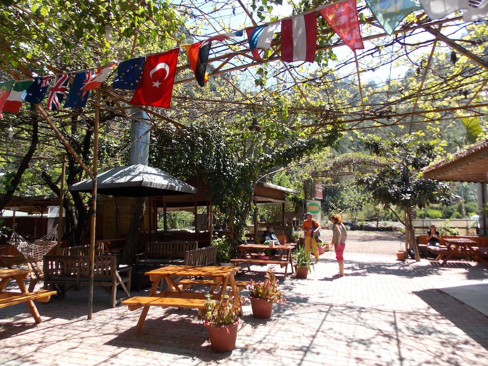 Olympos Orange 29/50