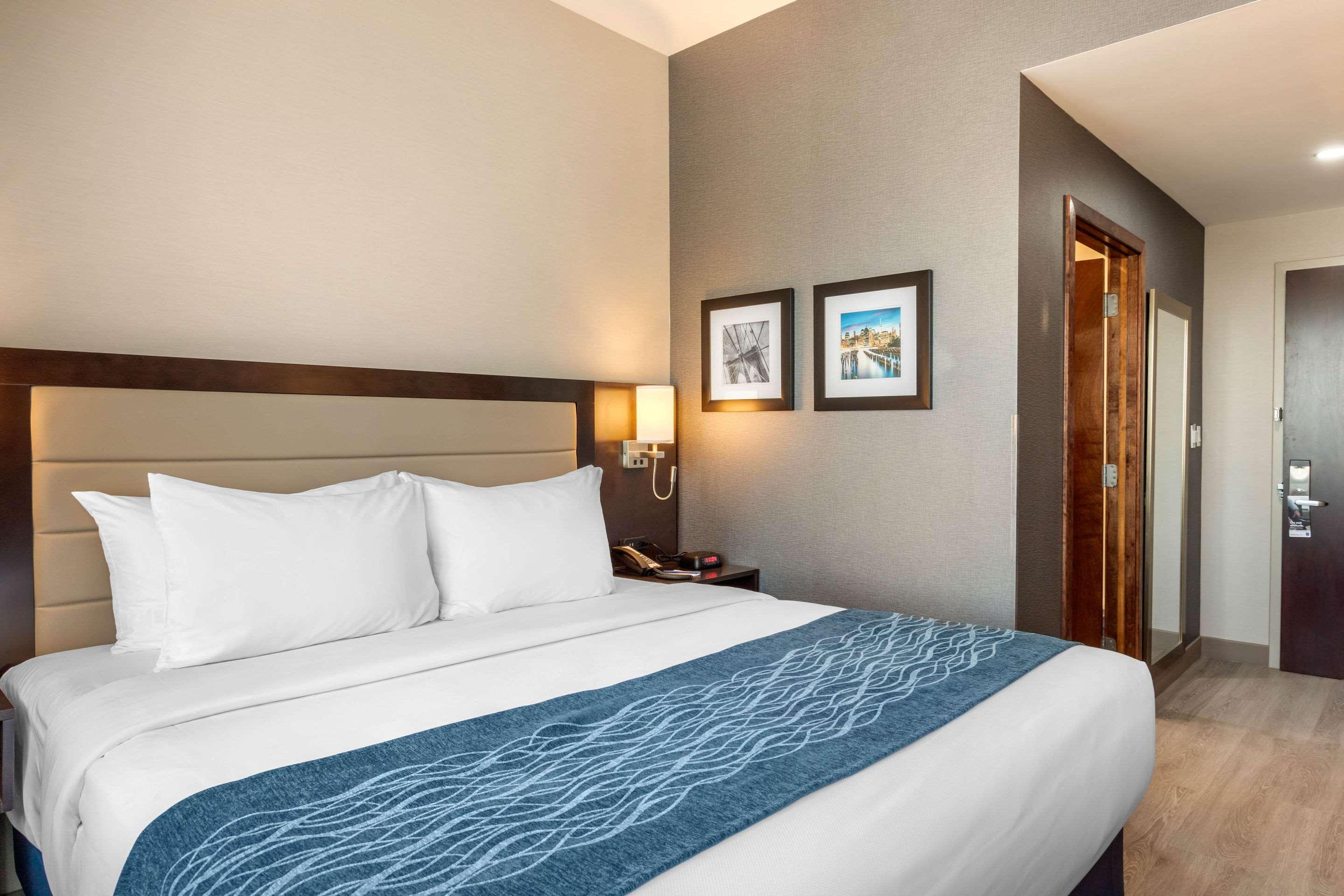 Room, King Bed