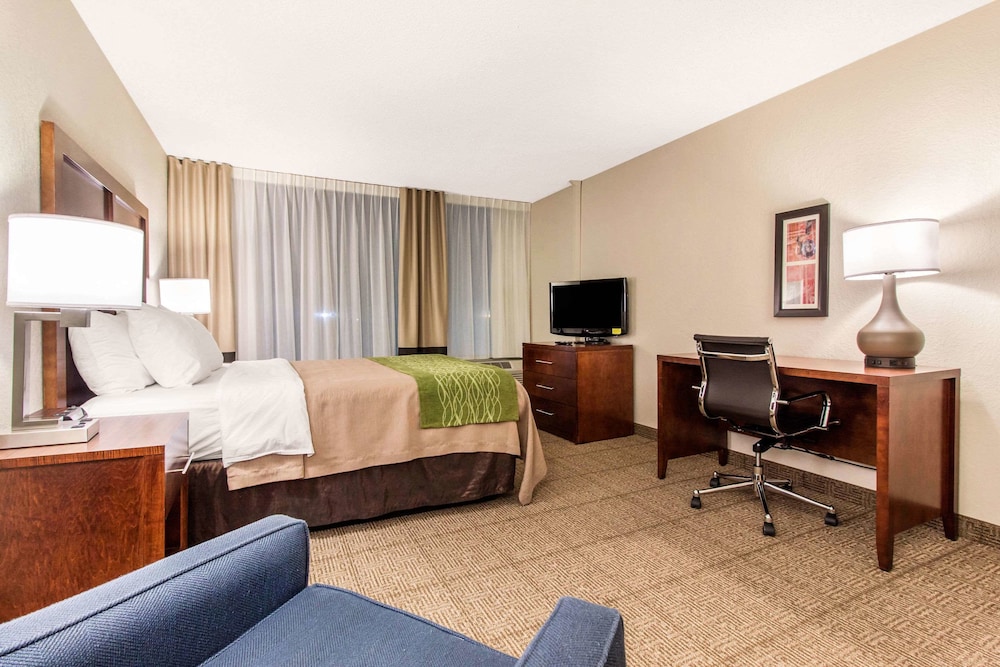 Comfort Inn and Suites Omaha Central 23/42