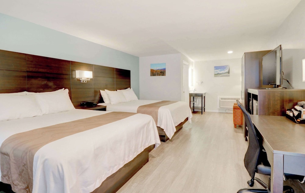 Room, 2 Queen Beds, Pet Friendly, Exterior Entrance